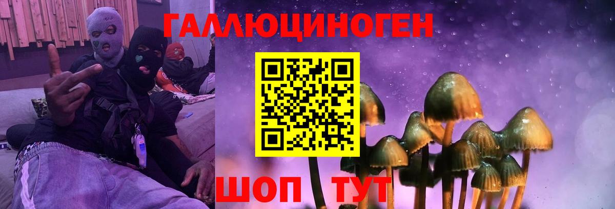наркошоп  Вход с VPN  Псилоцибиновые грибы Cubensis  Лыткарино  Псилоцибиновые грибы Magic Shrooms 